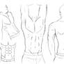 sketch-Male body study