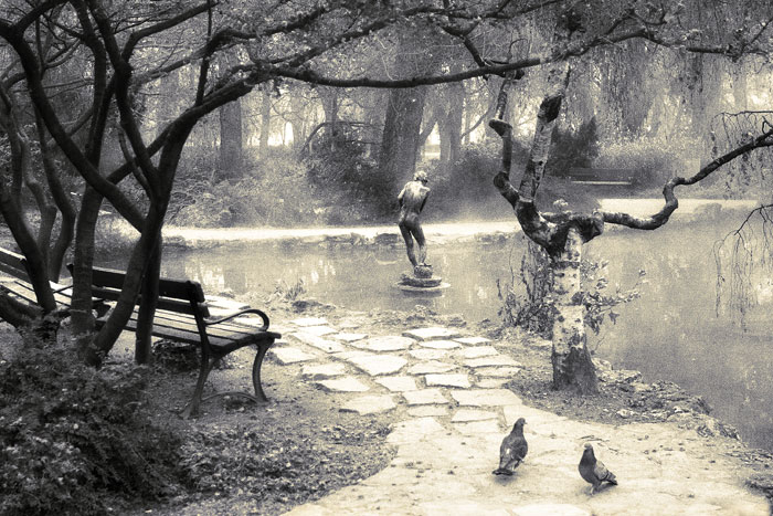 Pond and Two Pigeons