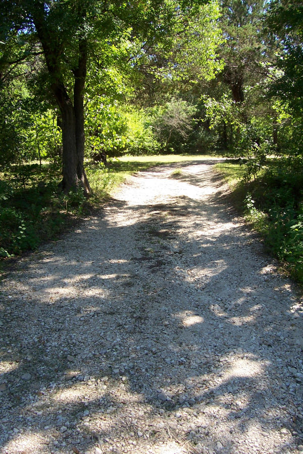 Shady Path by aquaviann