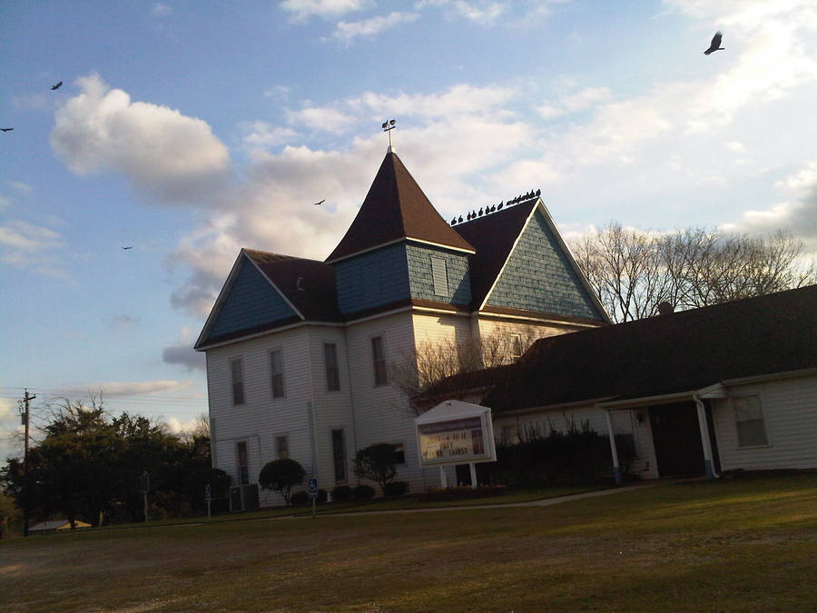 Church Vultures by aquaviann