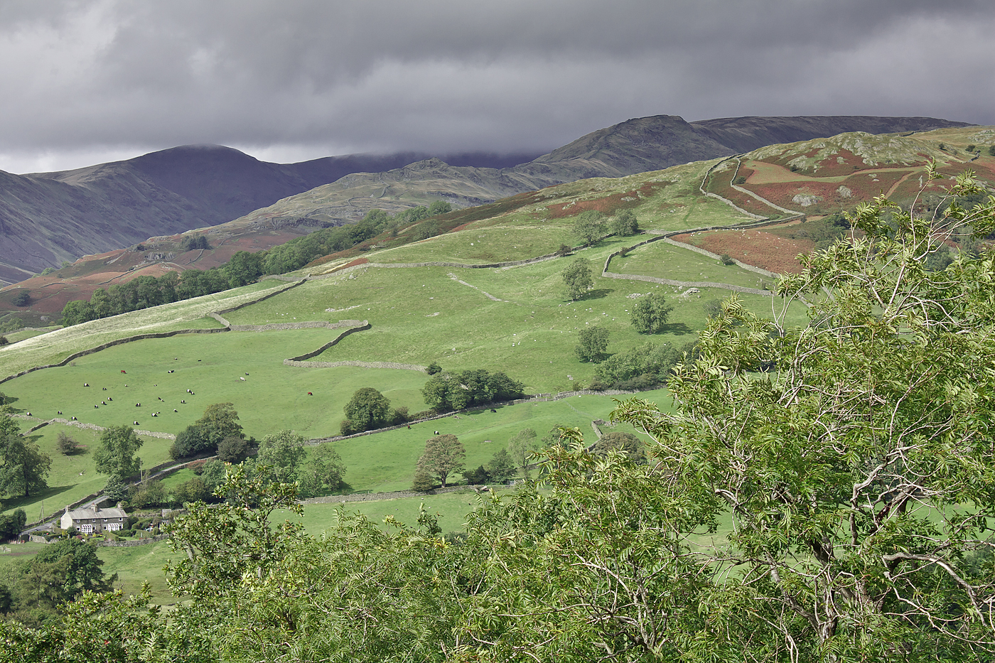 Lake District II