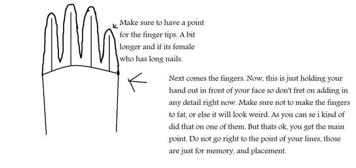 Hand Tutorial Cont.