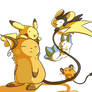 Big Brother Raichu