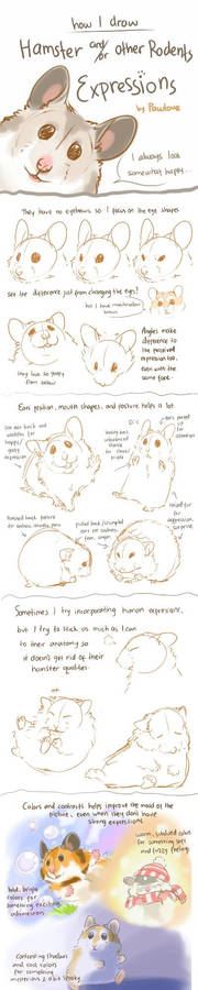 Hamster / Rodent Expression tutorial