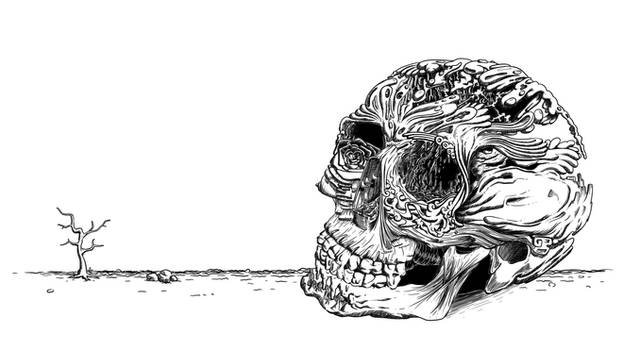 Skull Drawing