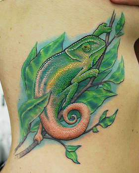 Chameleon Side Piece