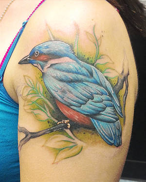 Kingfisher bird tattoo by joshing88 Kingfisher bird tattoo by joshing88