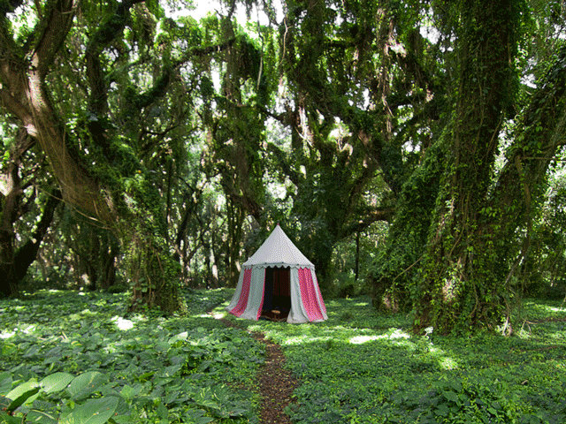 the-red-tent-PROGRESS by Rowye the-red-tent-PROGRESS by Rowye