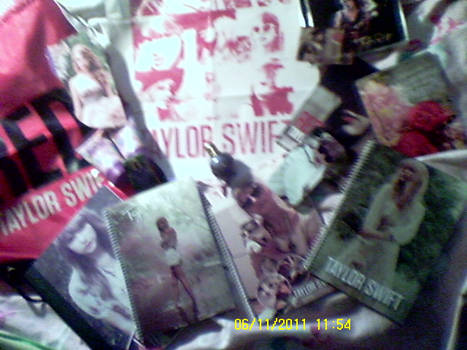 All Of My Taylor Swift Things