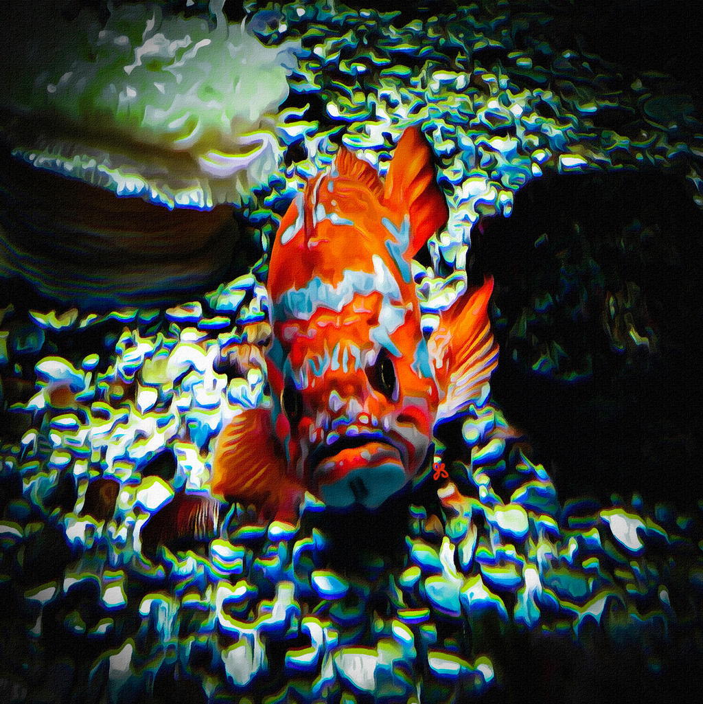 Grumpy Fish by LowBassGuy on DeviantArt