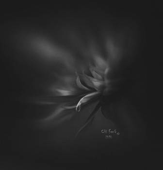 Intuition by ChiFeng-dA