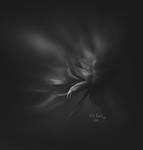 Intuition by ChiFeng-dA