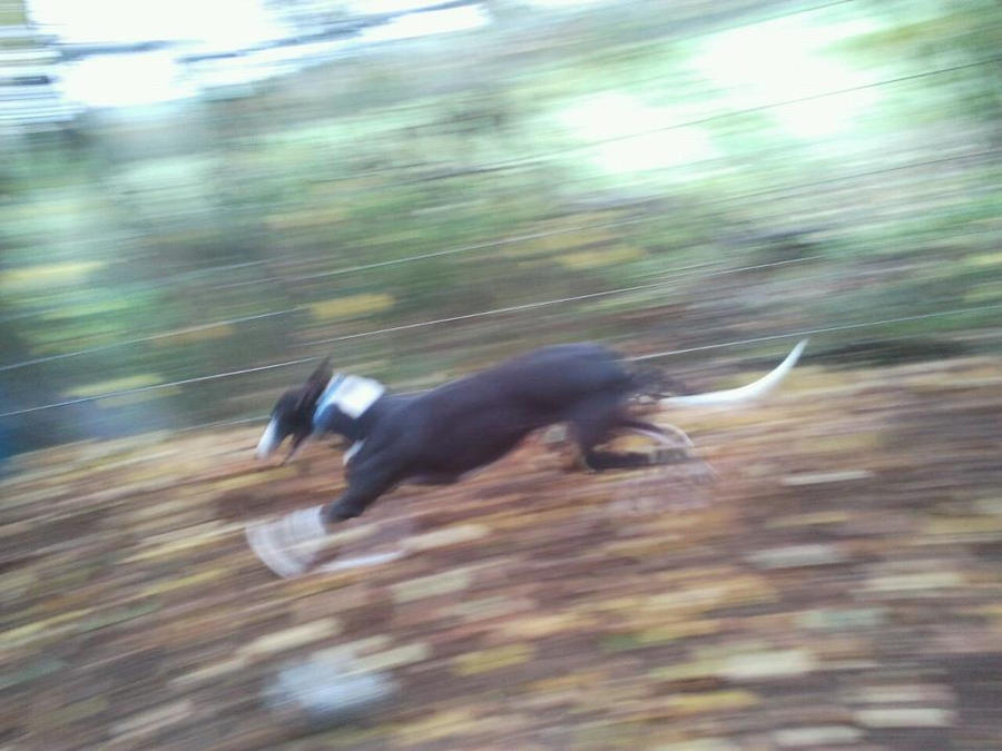 Running Rags by Iron-Star on DeviantArt