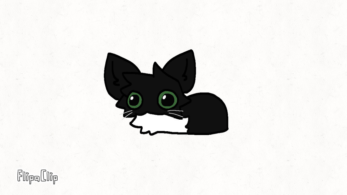 Maxwell the cat by ChloeArtsandStuff888 on DeviantArt