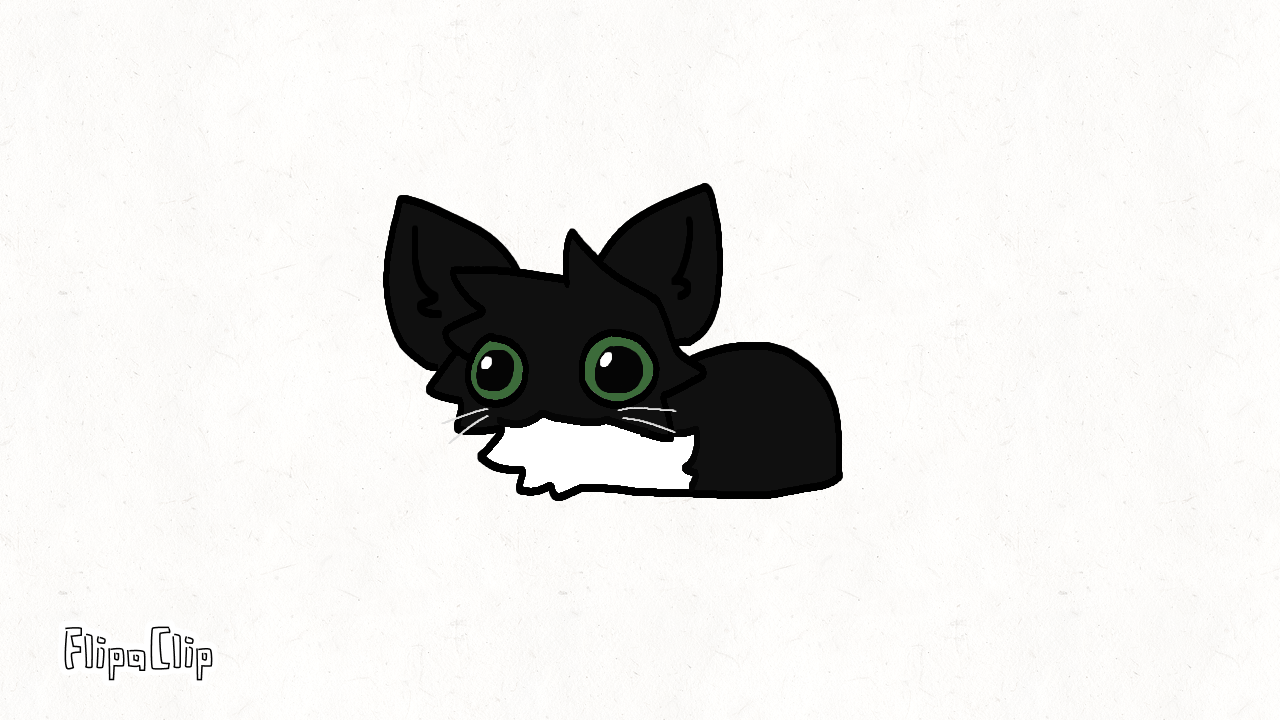 Maxwell the cat by ChloeArtsandStuff888 on DeviantArt