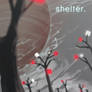 Shelter