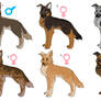 GSD Breed-Adopt -closed-