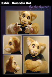 Kubie Fursuit