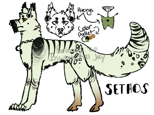 Fursona Reference Sheet by InsubstantialJay on DeviantArt