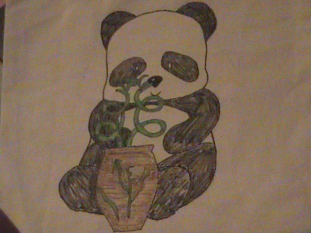 Panda and vase canvas bag