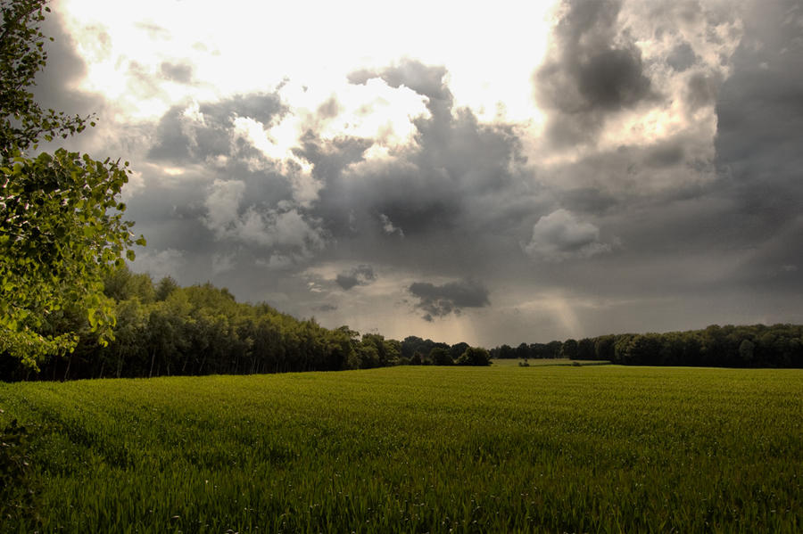 Lower Saxony Landscape II