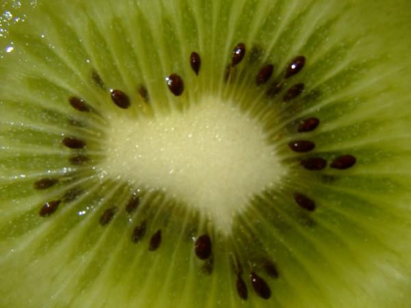 Kiwi Fruit