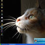 cipolla's wall - home pc