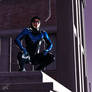 NightWing Watches the City