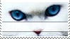 I Love Kitties Stamp by GoodiesForYou