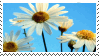 Flowerz Stamp