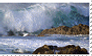 shell4art Stamp