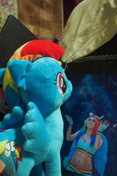 Rainbow Dash Wonders