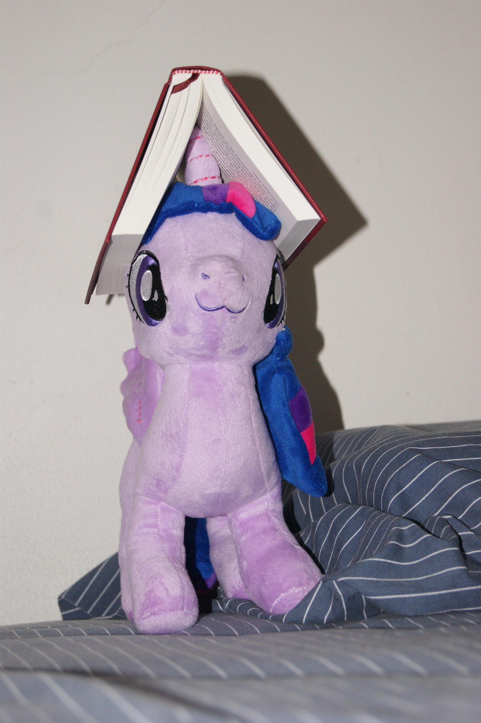 Twilight's Book Hat 6