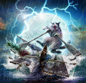 Cat Away by Mr-Ripley Cat Away by Mr-Ripley