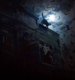 Cat on a Haunted Roof by Mr-Ripley