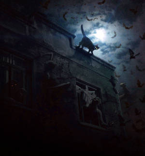 Cat on a Haunted Roof by Mr-Ripley Cat on a Haunted Roof by Mr-Ripley