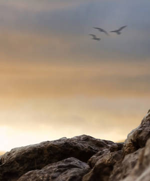 Lady on Rock Example 1bg by Mr-Ripley Lady on Rock Example 1bg by Mr-Ripley