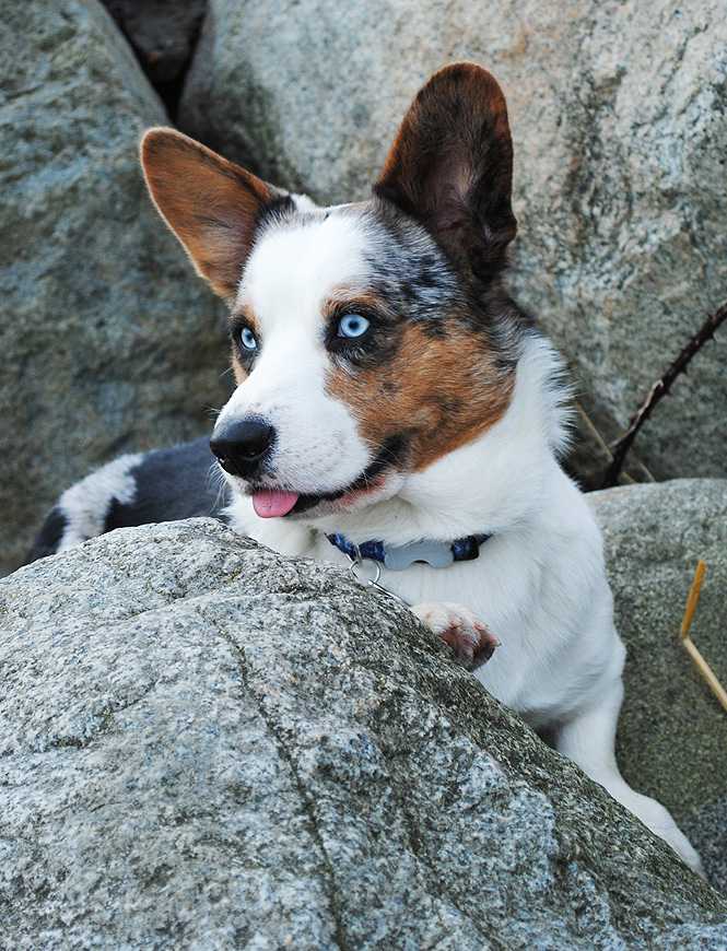 On The Rocks...