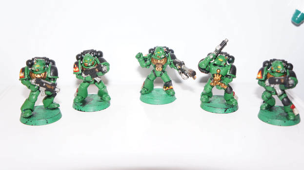 Space Marine Salamanders Combat Squad