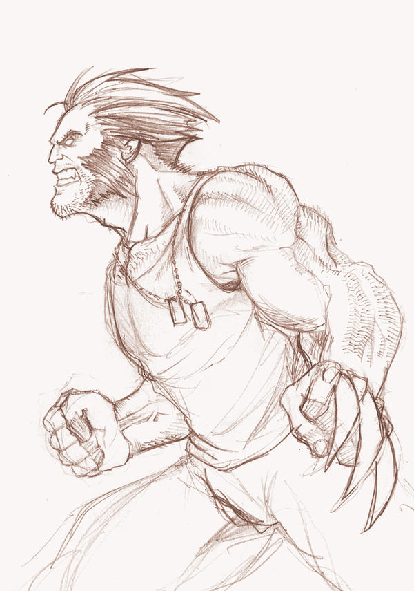 Wolverine Sketch