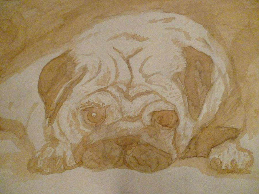 Crying Pug :c