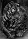 Precious Cargo, pencil by Panthera11