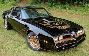 The Bandit's Trans Am
