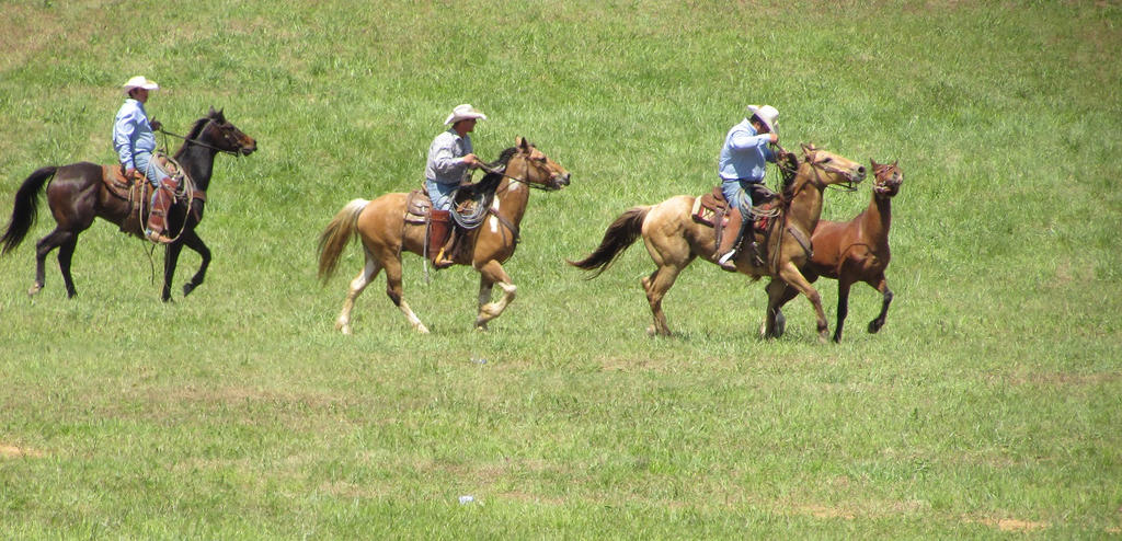 Cowboy Ranch Horse Stock by SmoothPorcelain on DeviantArt