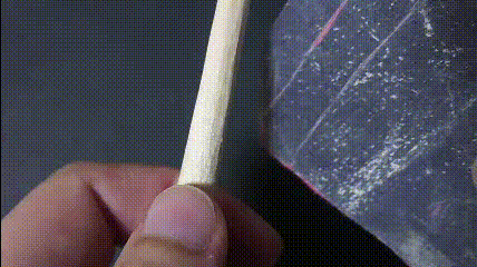 Fig 21 by PraeclarusWands Fig 21 by PraeclarusWands