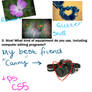 Photography Meme