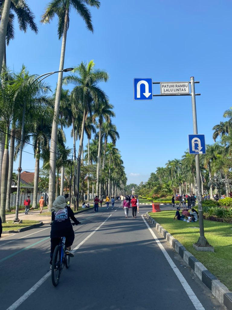 (PDF) Download When Rabbit Howls: A First-Person A by Jeannette2 on ...