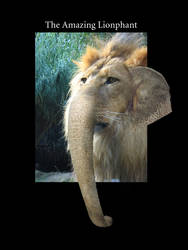 The Amazing Lionphant