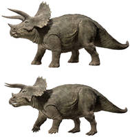 Jurassic World Triceratops photomanipulation