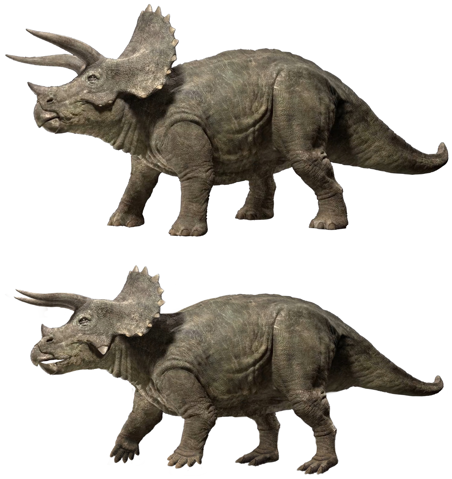 Jurassic World Triceratops photomanipulation by GodzillaLagoon on DeviantArt